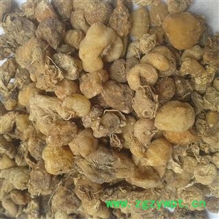 山慈菇 山慈菇统货 产地 云南省图2