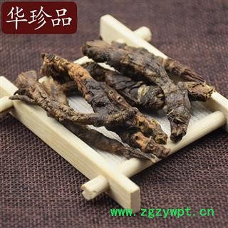 家种胡黄连 01 家种胡黄连 统 产地 西藏自治区昌都地区贡觉县图3