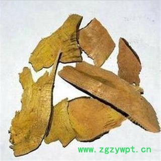 三棵针 01 三棵针 统 产地 云南省保山市腾冲县图3