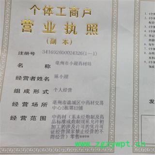 紫草 01 紫草 统 产地 福建省图3