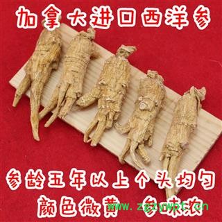 西洋参 精选进口开叉参 1克到2克 产地 海外图3