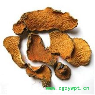 黄药子 统 产地 广西壮族自治区 产地直销 重在质量图2