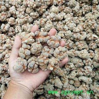 三七 三七40头 产地 云南省 产地直销 重在质量图3