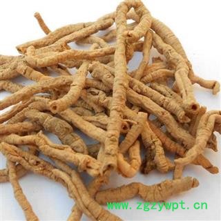 远志 远志筒 抽芯90%以上 产地 山西省 产地直销 重在质量图2