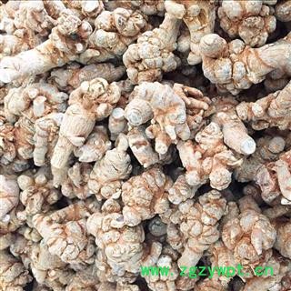 三七 三七60头 产地 云南省 产地直销 重在质量图3