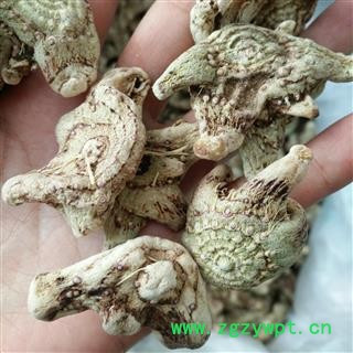 白芨 白及统个 产地 云南省 产地直销 重在质量图3