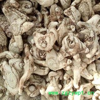 白芨 白及统个 产地 云南省 产地直销 重在质量图2