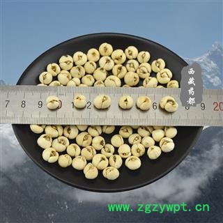 平贝母 统 0.6 中号 产地 四川省图3