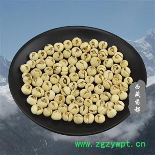 平贝母 统 0.6 中号 产地 四川省图2