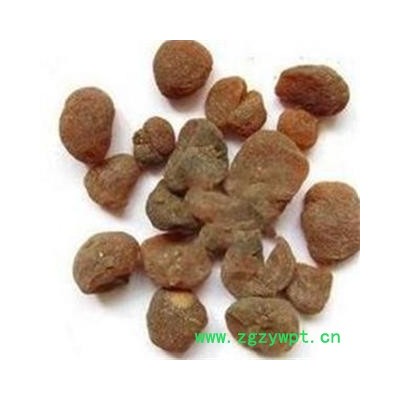 土贝母 统 代加工超细粉 产地 河北省保定市市辖区