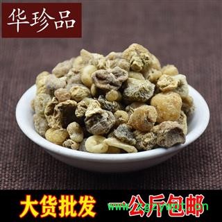 山慈菇 01 山慈菇 统 产地 云南省昭通市鲁甸县图2