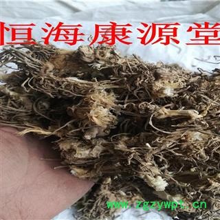 恒海康源堂批发韭菜根 韭菜籽图2