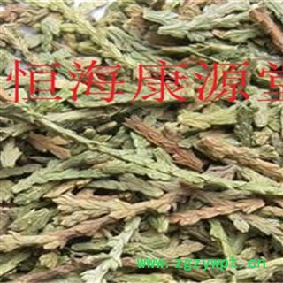 恒海康源堂产地直销侧柏叶 柏叶炭图2