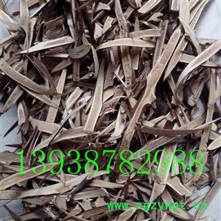 皂角刺， 皂角刺片，天丁片，老刺切统片，机器切片， 河南产图3