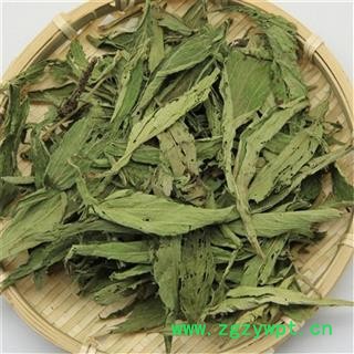 甜叶菊 统  甜菊叶   产地 四川省图3