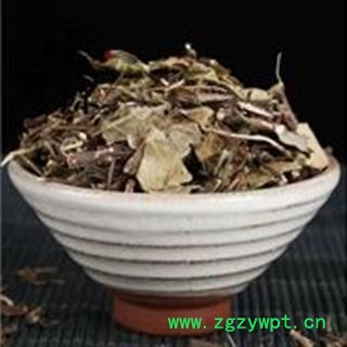 络石藤B 石鲮 红对叶肾 白花藤产地 湖北省图2