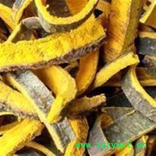 黄柏 川黄柏   产地 四川省图2