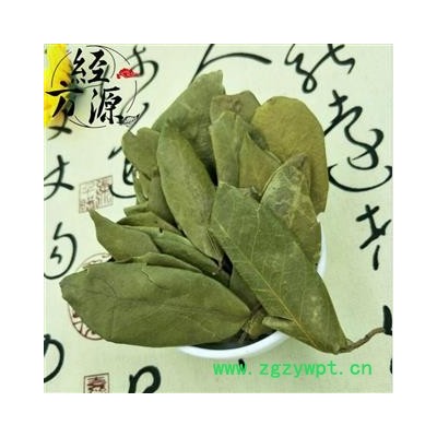 胡颓子叶B  胡秃子叶 蒲颓叶 统 产地 安徽省