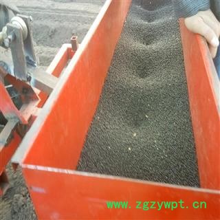 呼伦贝尔产白鲜皮种子大量批发