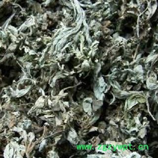 京辉药业 艾叶 新货 促销图3