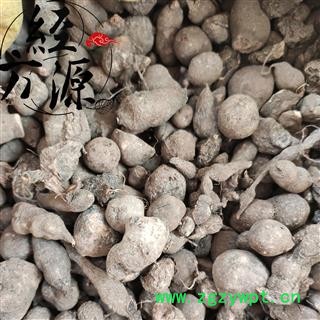 三叶青D 金线吊葫芦 三叶青统个 产地 浙江省图2