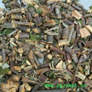 桑寄生 统 产地 广西壮族自治区图2