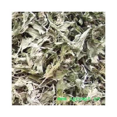 艾叶 统 产地 山东省