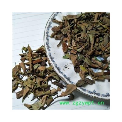 石韦 小叶石韦统段 产地 云南省