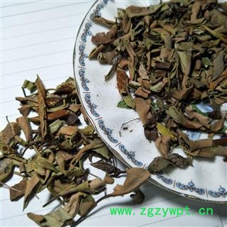 石韦 小叶石韦统段 产地 云南省图3