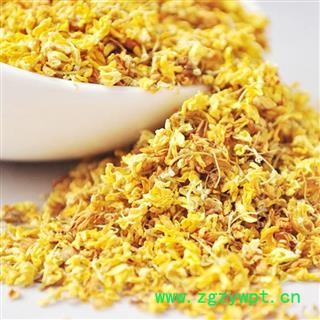 桂花 统 产地 浙江省选货  精品  大货批发图2