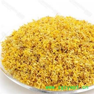 桂花 统 产地 浙江省选货  精品  大货批发图3