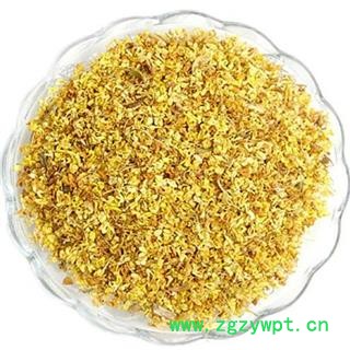 桂花 统 产地 浙江省选货  精品  大货批发图4