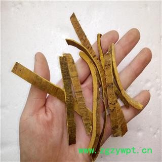 川黄柏 黄柏统丝 产地 四川省大货精选图3