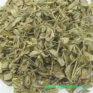 煜庭药业  豆瓣绿 豆瓣鹿衔草 岩筋草 豆瓣如意草 瓜子鹿衔 瓜子细辛 石上开花图3