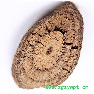 煜庭药业 买麻藤图4