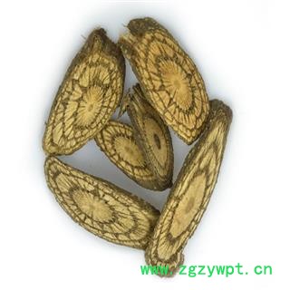 煜庭药业 买麻藤图2