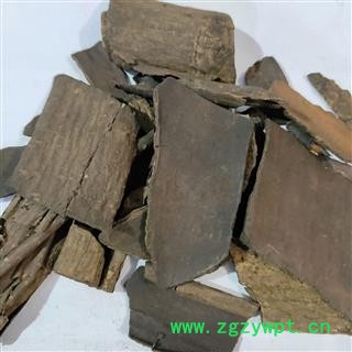 杜仲 本店新到炒杜仲好统货干净无杂质实物拍摄 产地 四川省图2