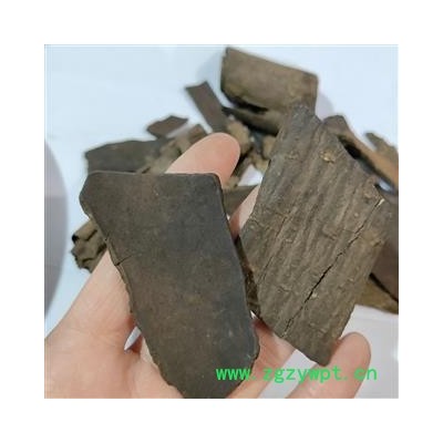 杜仲 本店新到炒杜仲好统货干净无杂质实物拍摄 产地 四川省