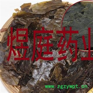 煜庭药业 毛冬青叶 苦丁茶 正品图3