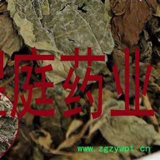 煜庭药业 臭梧桐叶 正品图3