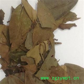 煜庭药业 莽草 莽草叶 亡草叶图3