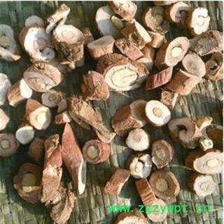 丹皮 红牡丹皮须片 产地 安徽省亳州市谯城区  免费打粉图2