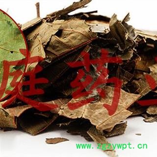 煜庭药业 布渣叶 麻布叶 破布叶 正品图2