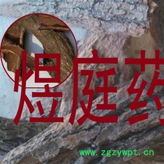 煜庭药业 七叶草 七叶一把伞 倒卵叶六驳 正品图2