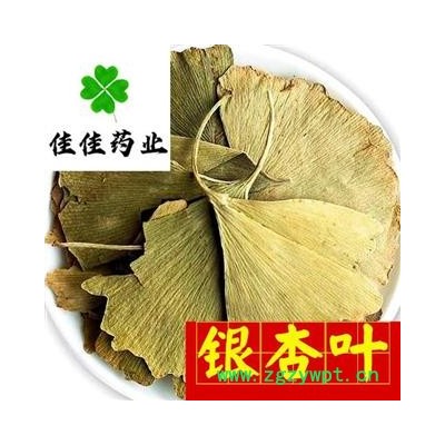 银杏叶 好统 产地 山东省 量大从优 新货颜色好 供应各种中药材