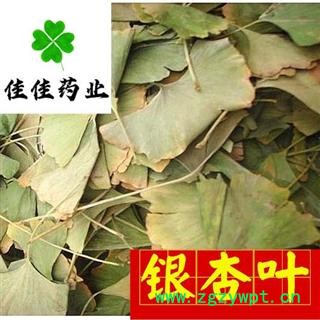 银杏叶 好统 产地 山东省 量大从优 新货颜色好 供应各种中药材图3