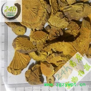 四海商联 黄藤 黄连藤 正品 正品(伪品功劳木)土黄连 大黄藤 黄连藤