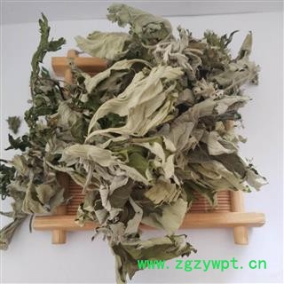 艾叶&【国舜堂】产地货源 规格齐全 量大从优 中药材批发供应【艾叶】图2