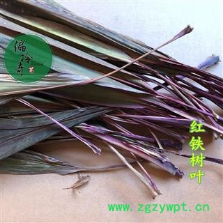 苏铁叶（红铁树叶、铁树叶） 统货 产地 广西壮族自治区图2