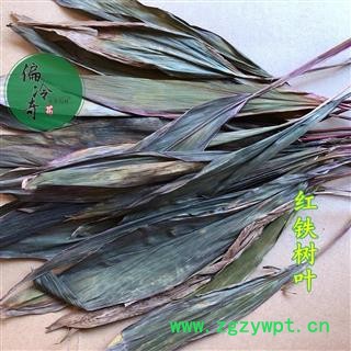 苏铁叶（红铁树叶、铁树叶） 统货 产地 广西壮族自治区图3